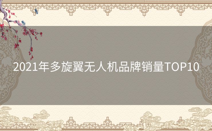 2021年多旋翼无人机品牌销量TOP10