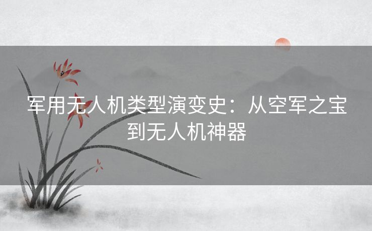 军用无人机类型演变史：从空军之宝到无人机神器