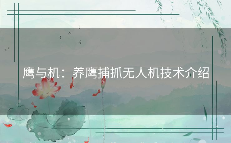 鹰与机：养鹰捕抓无人机技术介绍