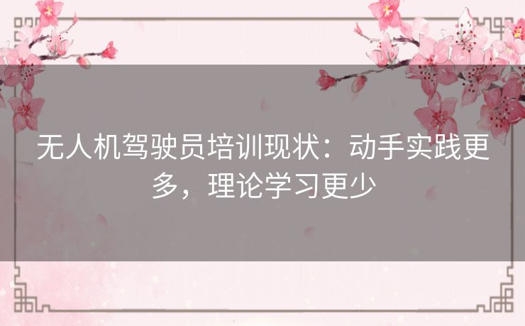 无人机驾驶员培训现状：动手实践更多，理论学习更少