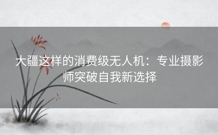 大疆这样的消费级无人机：专业摄影师突破自我新选择