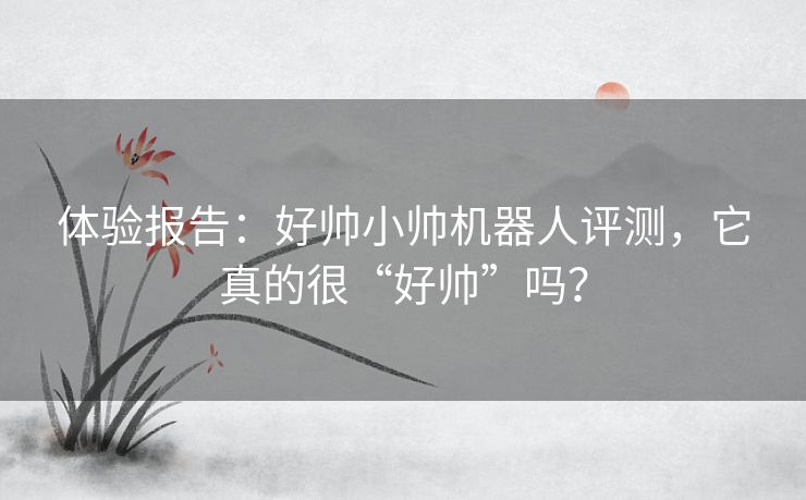 体验报告：好帅小帅机器人评测，它真的很“好帅”吗？