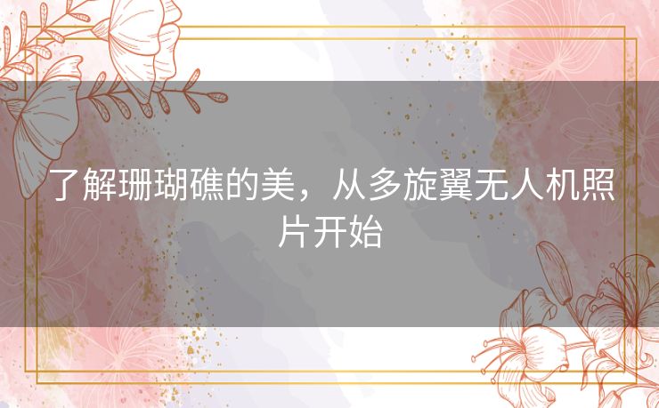 了解珊瑚礁的美，从多旋翼无人机照片开始
