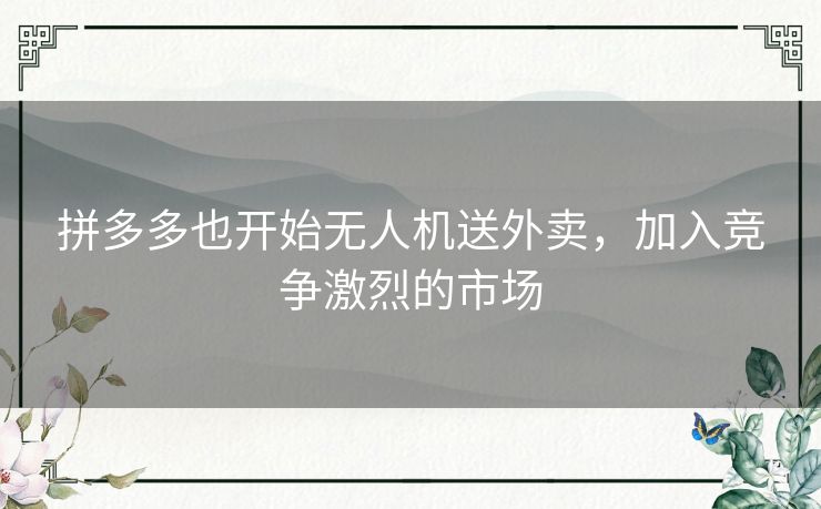 拼多多也开始无人机送外卖，加入竞争激烈的市场