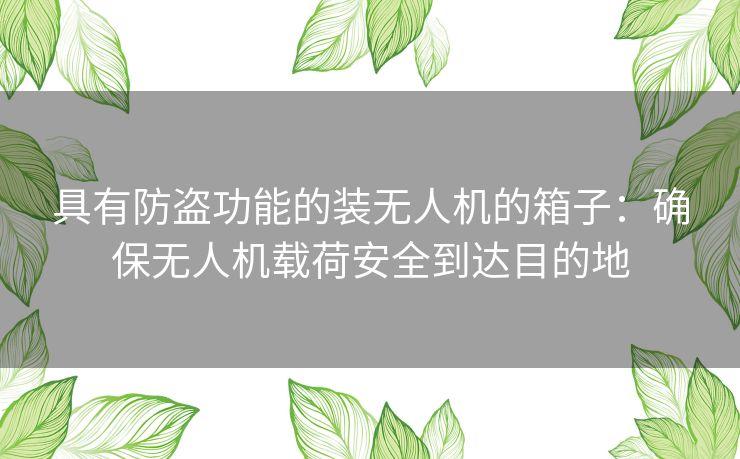 具有防盗功能的装无人机的箱子：确保无人机载荷安全到达目的地