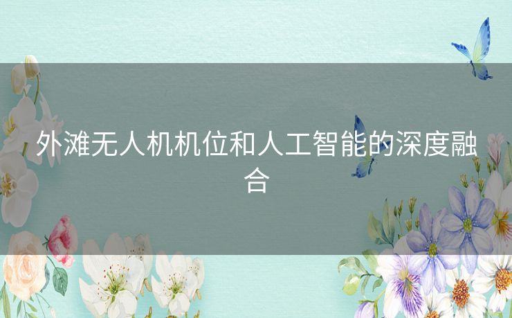 外滩无人机机位和人工智能的深度融合