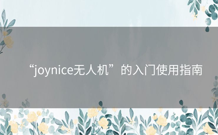 “joynice无人机”的入门使用指南