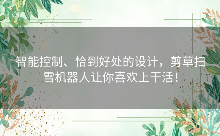 智能控制、恰到好处的设计，剪草扫雪机器人让你喜欢上干活！