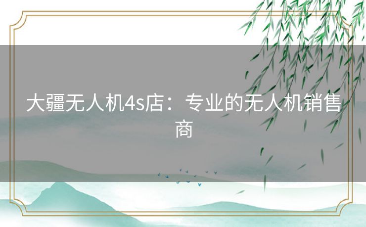 大疆无人机4s店：专业的无人机销售商