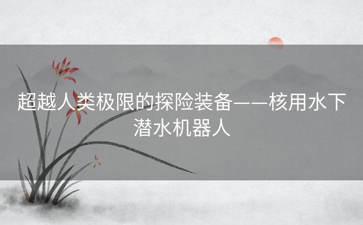 超越人类极限的探险装备——核用水下潜水机器人