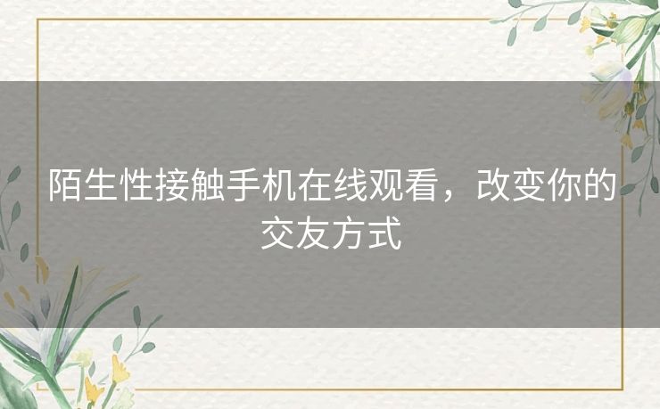 陌生性接触手机在线观看，改变你的交友方式