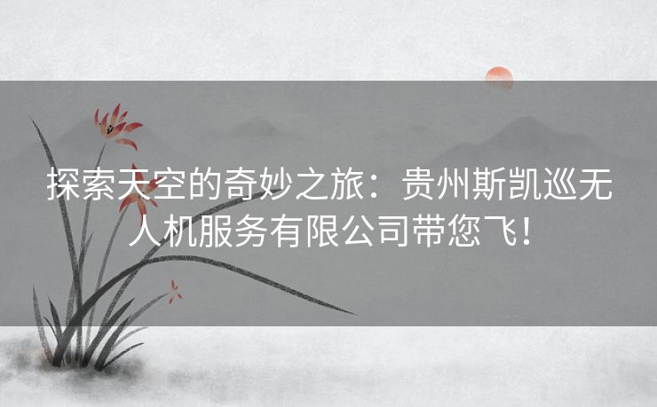 探索天空的奇妙之旅：贵州斯凯巡无人机服务有限公司带您飞！