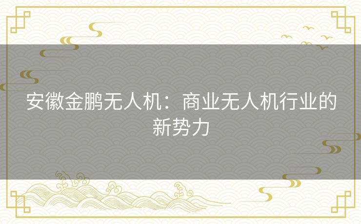 安徽金鹏无人机：商业无人机行业的新势力