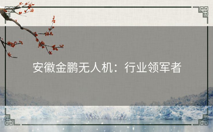 安徽金鹏无人机：行业领军者