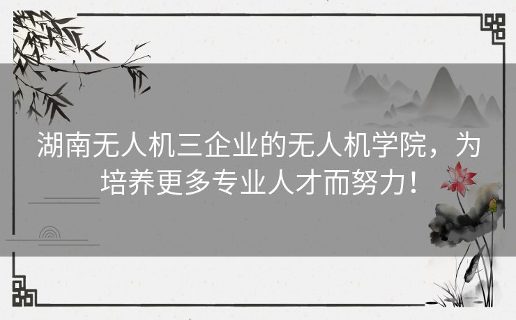 湖南无人机三企业的无人机学院，为培养更多专业人才而努力！