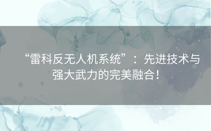 “雷科反无人机系统”：先进技术与强大武力的完美融合！