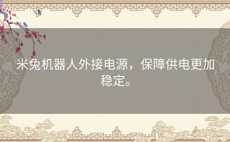 米兔机器人外接电源，保障供电更加稳定。