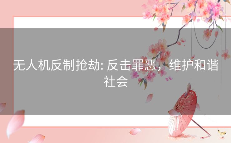 无人机反制抢劫: 反击罪恶，维护和谐社会