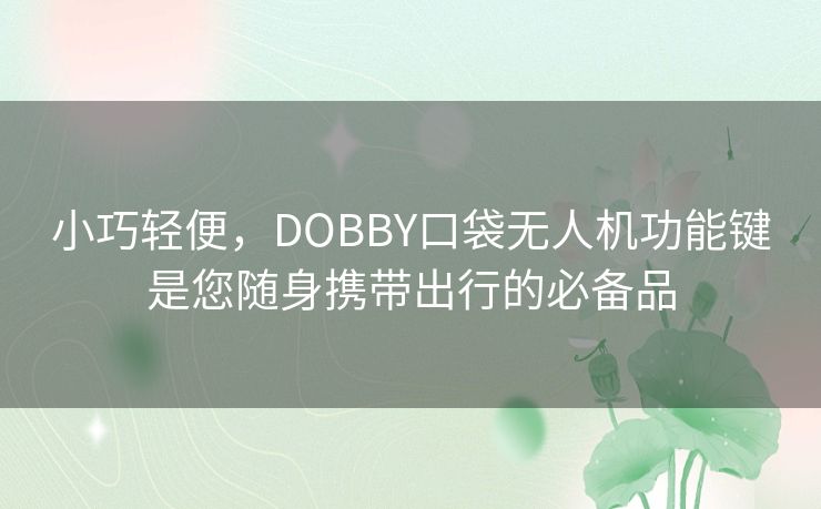 小巧轻便，DOBBY口袋无人机功能键是您随身携带出行的必备品
