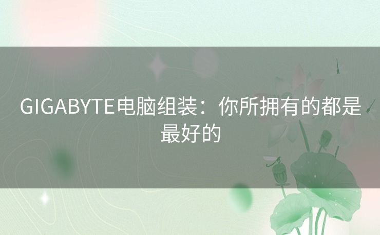 GIGABYTE电脑组装：你所拥有的都是最好的