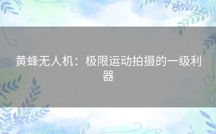 黄蜂无人机：极限运动拍摄的一级利器