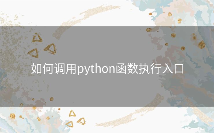 如何调用python函数执行入口