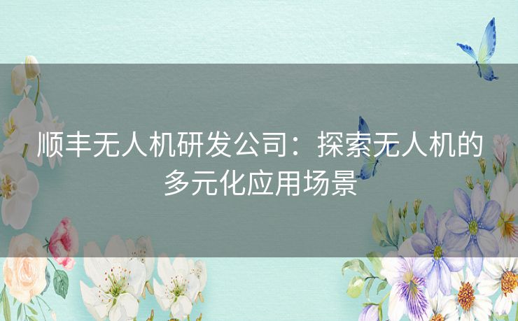 顺丰无人机研发公司：探索无人机的多元化应用场景