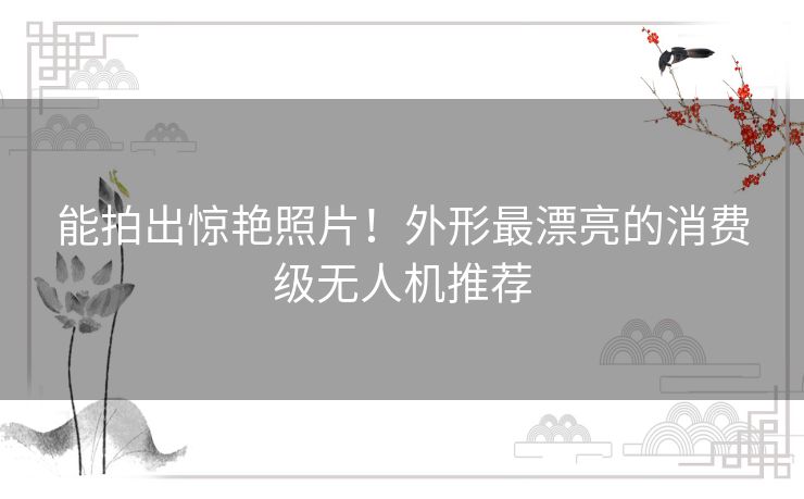 能拍出惊艳照片！外形最漂亮的消费级无人机推荐