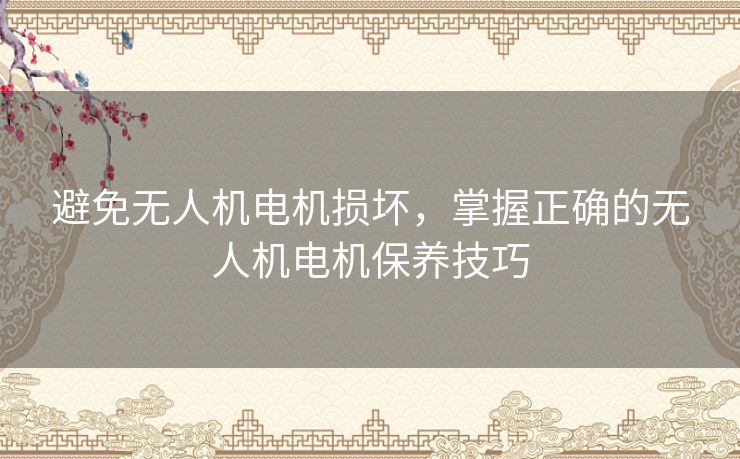 避免无人机电机损坏，掌握正确的无人机电机保养技巧