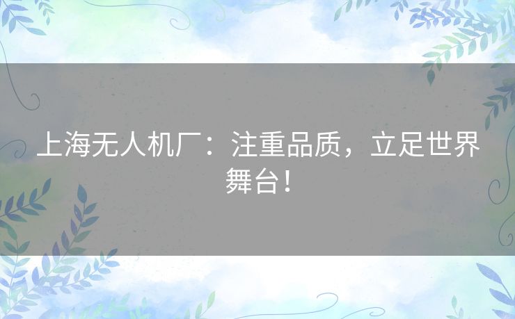 上海无人机厂：注重品质，立足世界舞台！