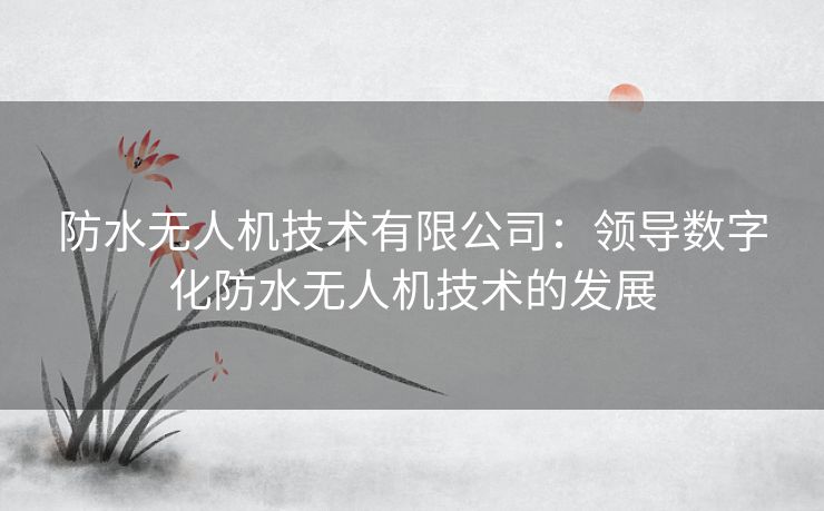 防水无人机技术有限公司：领导数字化防水无人机技术的发展