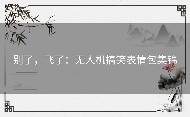 别了，飞了：无人机搞笑表情包集锦