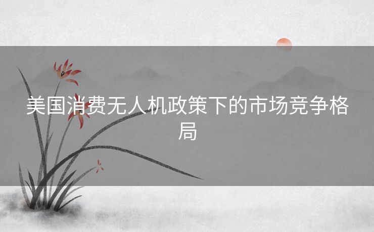 美国消费无人机政策下的市场竞争格局
