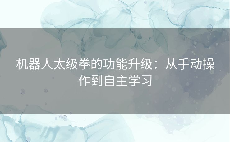 机器人太级拳的功能升级：从手动操作到自主学习