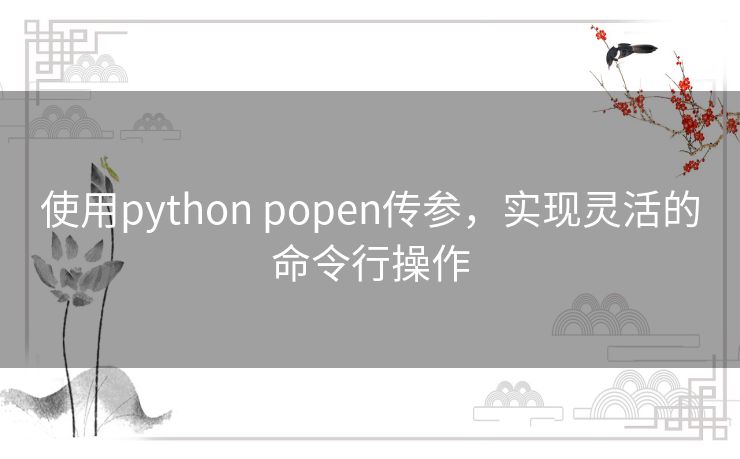 使用python popen传参，实现灵活的命令行操作
