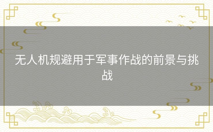 无人机规避用于军事作战的前景与挑战