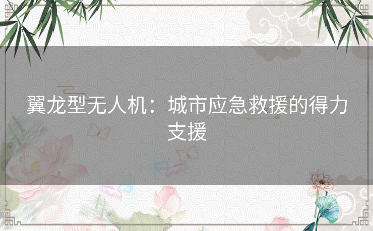 翼龙型无人机：城市应急救援的得力支援