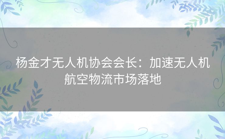 杨金才无人机协会会长：加速无人机航空物流市场落地