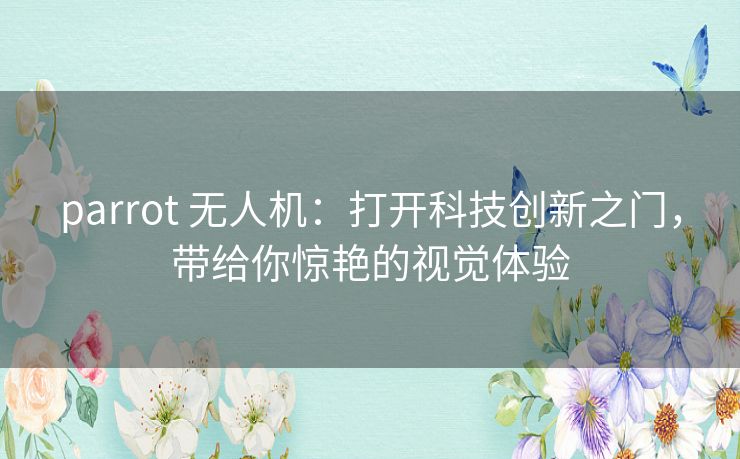 parrot 无人机：打开科技创新之门，带给你惊艳的视觉体验