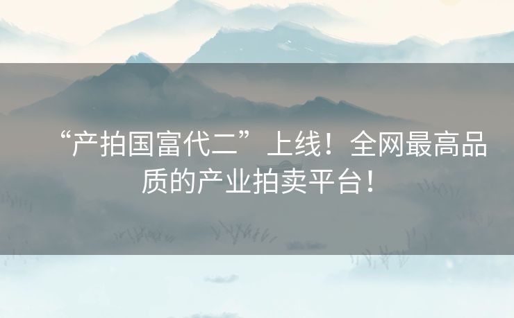 “产拍国富代二”上线！全网最高品质的产业拍卖平台！
