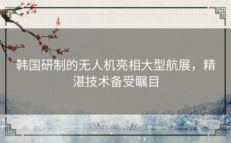 韩国研制的无人机亮相大型航展，精湛技术备受瞩目