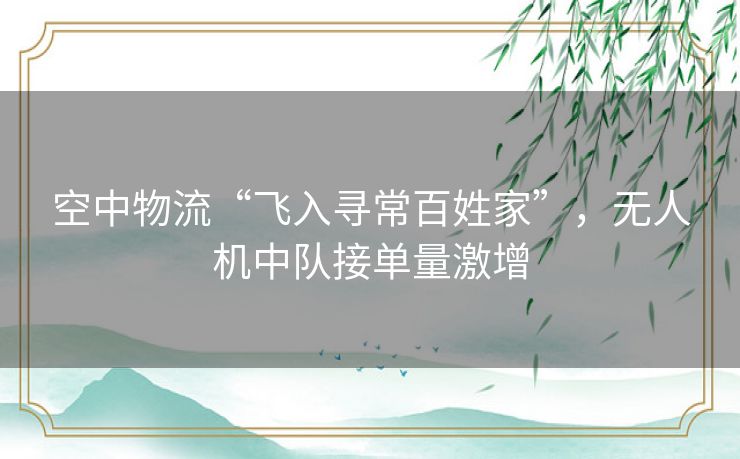 空中物流“飞入寻常百姓家”，无人机中队接单量激增
