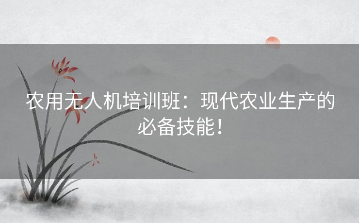 农用无人机培训班：现代农业生产的必备技能！