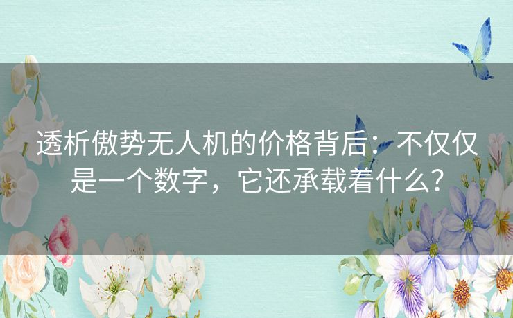透析傲势无人机的价格背后：不仅仅是一个数字，它还承载着什么？