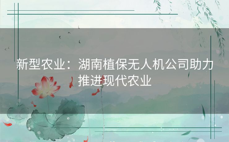 新型农业：湖南植保无人机公司助力推进现代农业
