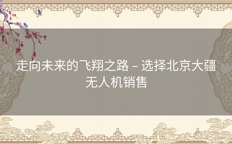 走向未来的飞翔之路 – 选择北京大疆无人机销售