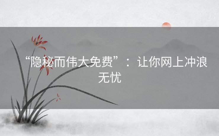 “隐秘而伟大免费”：让你网上冲浪无忧