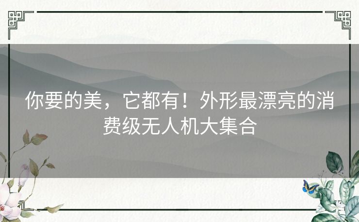 你要的美，它都有！外形最漂亮的消费级无人机大集合