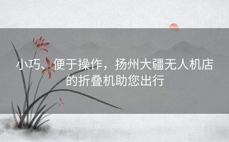 小巧、便于操作，扬州大疆无人机店的折叠机助您出行