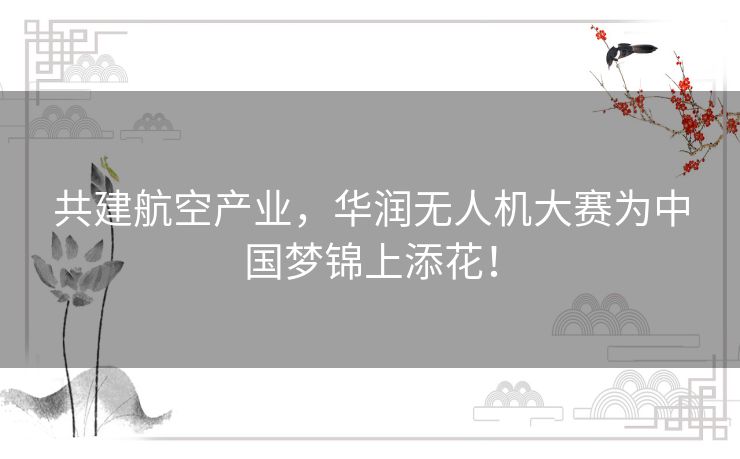 共建航空产业，华润无人机大赛为中国梦锦上添花！